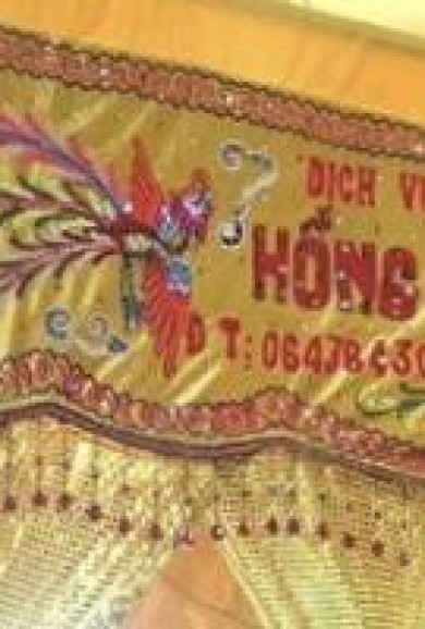 Bông Du Nhung Vàng Chân Kim Sa